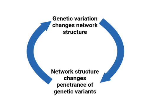 Reciprocal Network